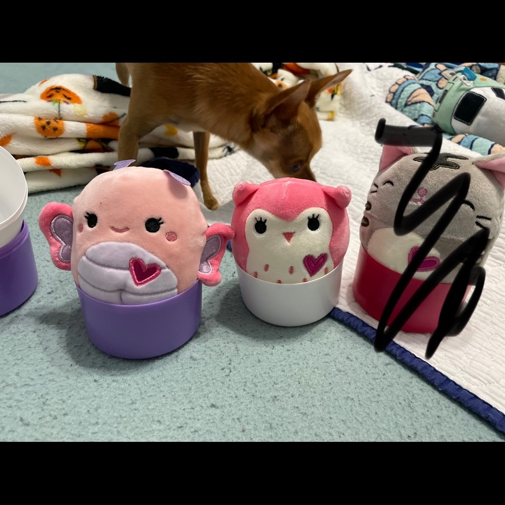 Mini squishmallows